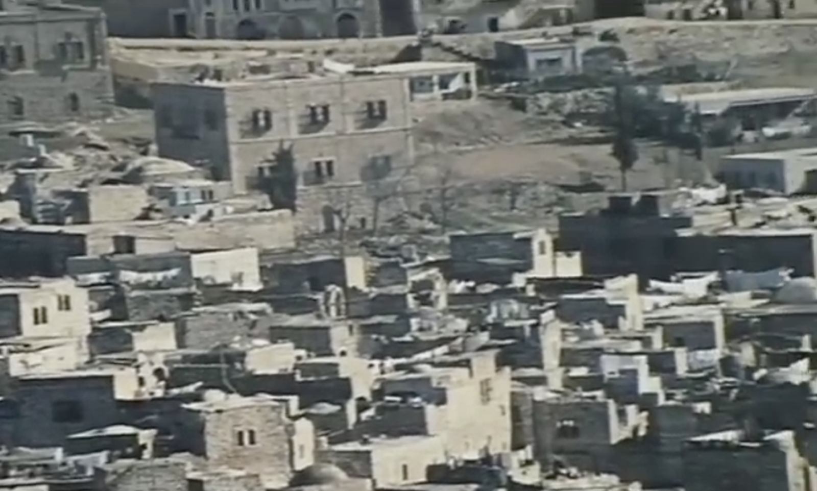 Israel, Why